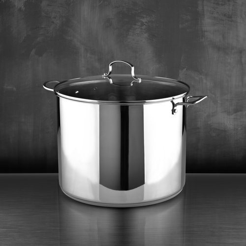Bergner Stainless Steel Stock Pot with Lid Wayfair